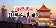 操我骚逼免费网址中国陕西-西安城墙旅游风景区